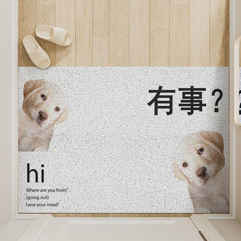 家用进门地垫大门口入户门玄关垫子除圈防滑地毯刮沙丝泥蹭脚包邮