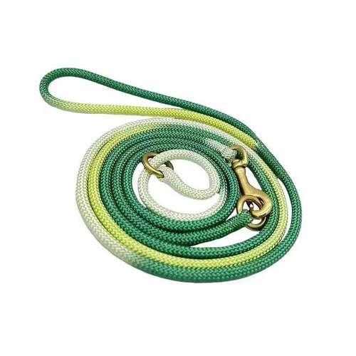 赛级宠物狗p犬专业训绳绳子随行细脖圈p链遛狗牵引绳项圈比赛绳