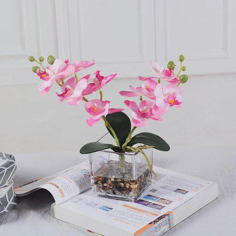 小清新玻璃瓶装饰蝴蝶兰假水假花客厅摆件仿真餐桌摆放仿真花盆栽