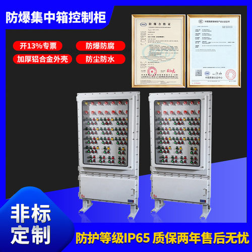 防爆应急照明集中电源箱控制柜不锈钢防爆配电柜接线防爆控制箱