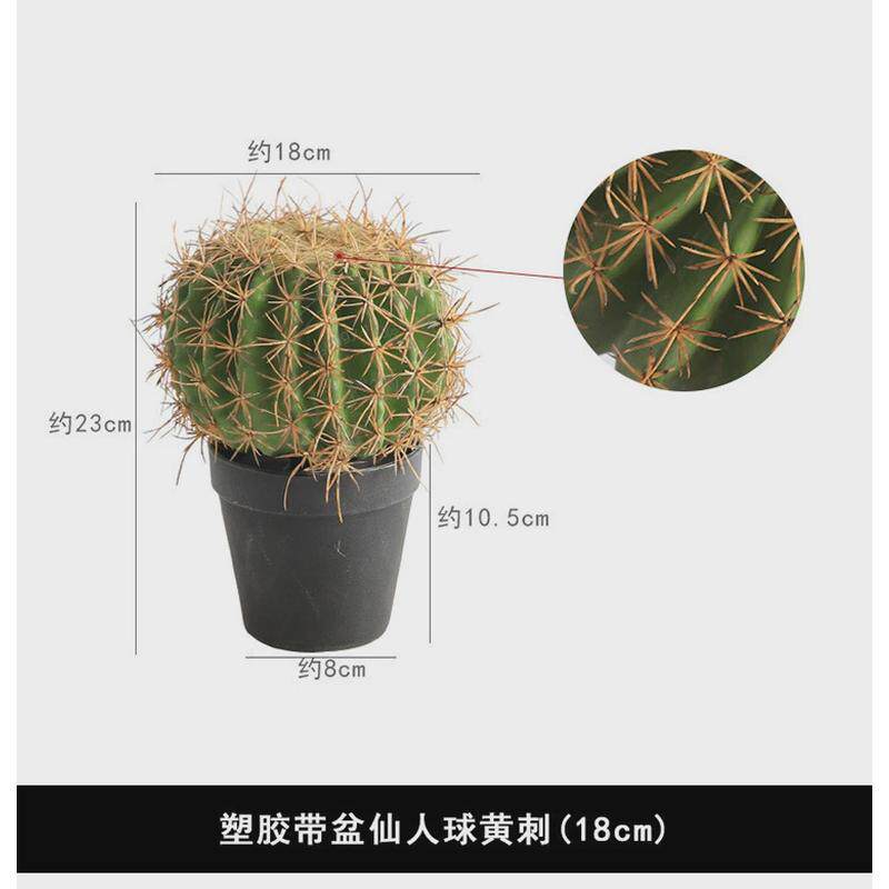 仿真仙人掌类植物假仙人球盆栽仙人掌中大型跳舞绿植客厅落地摆件