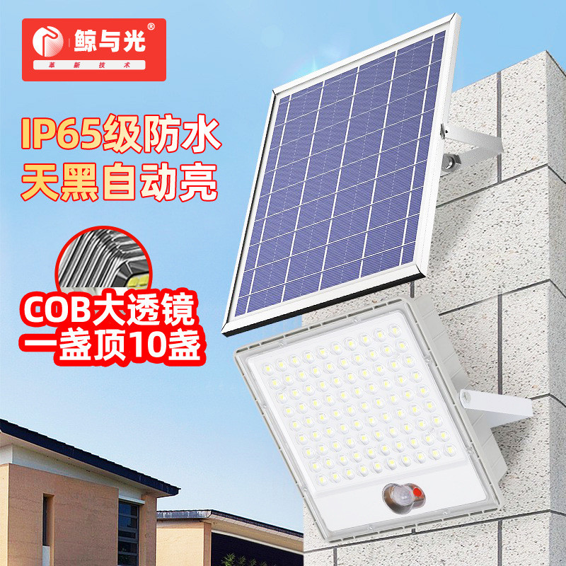 新款太阳能投光灯户外防水庭院灯人体感应泛光灯大功率分体路灯