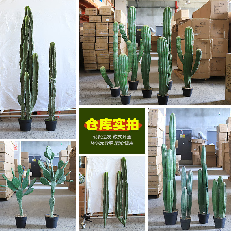 仿真仙人掌植物沙漠绿植造景墨西哥仙人掌量天尺假仙人柱沙生绿植