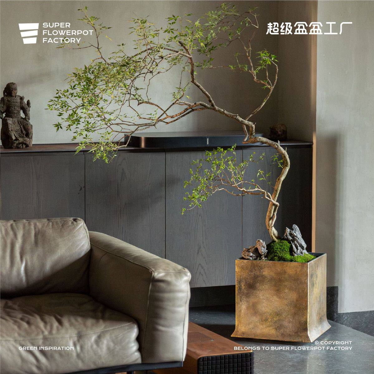 超级盆盆工厂中式侘寂风复古落地花盆高级盆景感软装搭配雅致