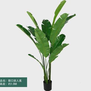 仿真绿植仿真绿植假植物仿生绿植盆栽室内装饰摆件假树旅人蕉造景