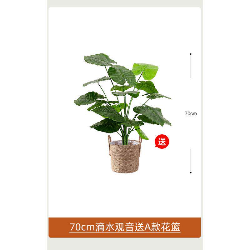 北欧绿植龟背叶假花桌面摆件假盆景植物客厅办公室装饰小盆栽