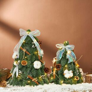 2023新款套餐圣诞树毛毡圣诞节小礼品diy小圣诞树摆件仿真诺贝松