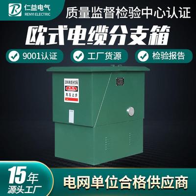 高压10KV欧式电缆分支箱DFW-12户外电缆分接箱铁壳不锈钢一进一出