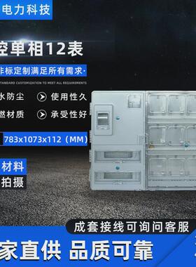 源头厂家现货供应挂壁式主相单相12电表箱电表箱783x1073x112表