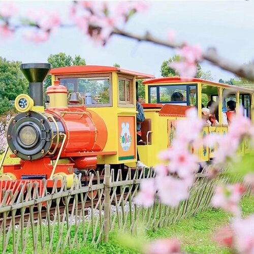 热销户外观光火车稻田仿古蒸汽轨道电车夜网红景文农旅游乐无动力