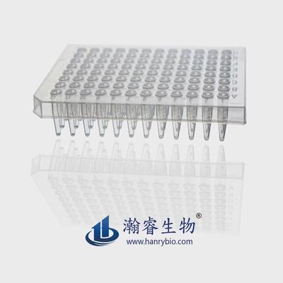 瀚透明生物96孔板pcr板无菌荧光定量pcr板100200ul睿白色实验耗材