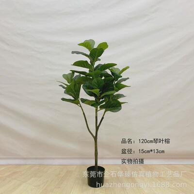 仿真琴叶榕圆叶仿真绿植盆栽橡皮榕北欧家居榕大型落地装饰盆景