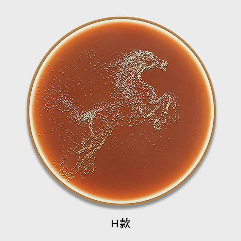 新中式立体客厅装饰画发光灯带实物画圆形玄关走廊茶室晶钻挂画