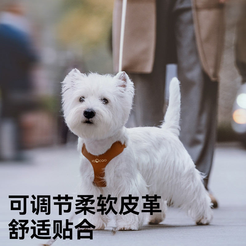 VOOCOO蔚刻狗狗牵引绳 中小型犬专用 皮革材质 S码 颜色多样