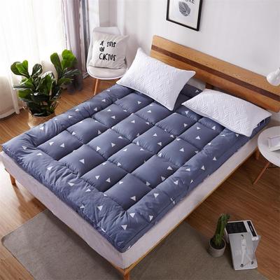丝绒床垫子榻榻米软床垫1.5米/1.8m床羽立体床垫学生宿舍单人床褥