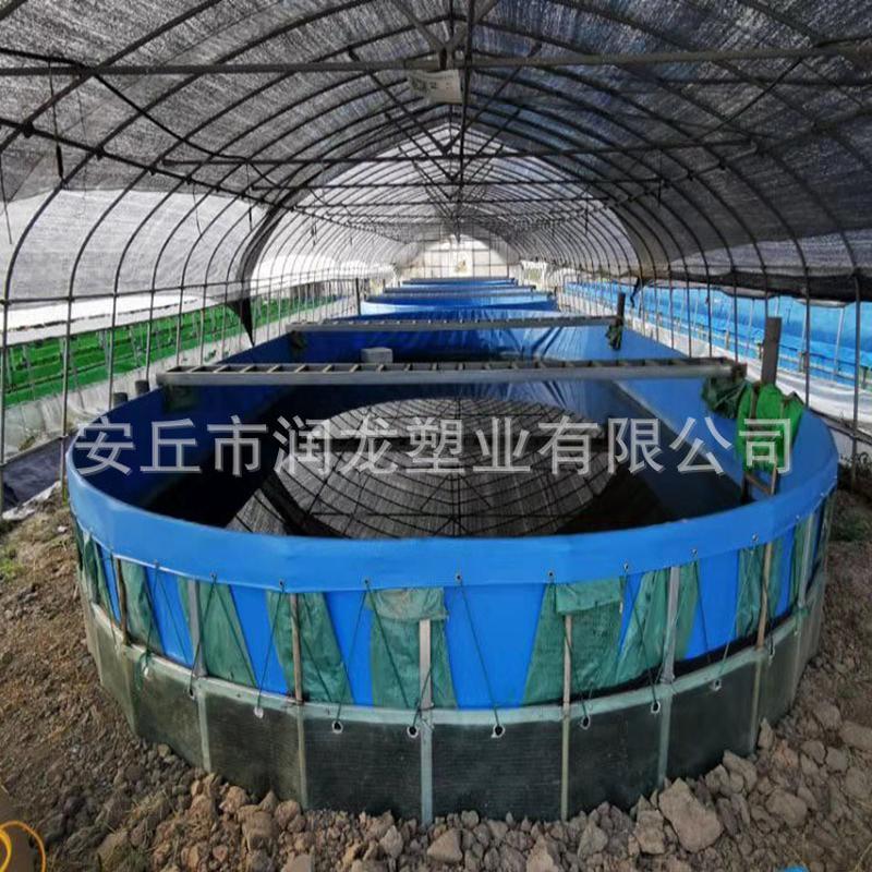 鱼菜共生种植槽大型农场厂家种植园养殖场大棚种植槽