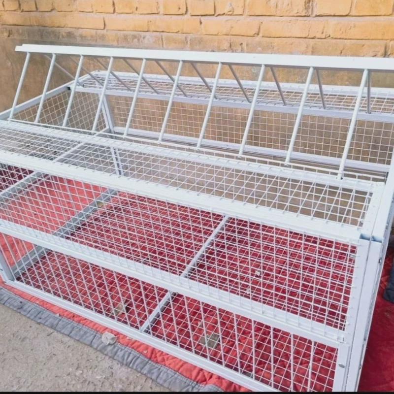 鸽子跳笼舍门信鸽赛鸽用品鸽进出只进不出笼门撞门电子跳笼