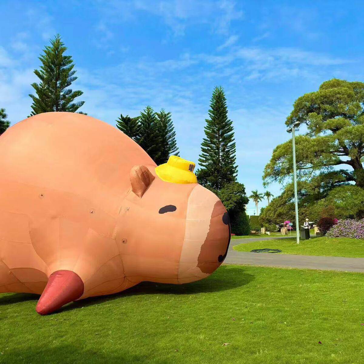 定制充气卡通可爱卡皮巴拉气模豚鼠动物网红露营大型毛绒行走人偶