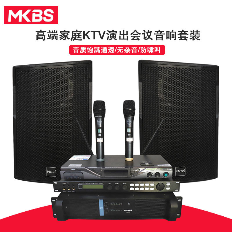 MKBS 套装家庭 卡拉OK 舞台会议主持一拖二无线麦克风12寸音响X5