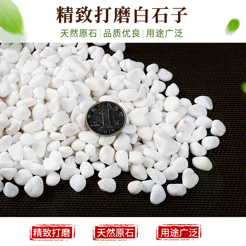 批发造景白米石多肉盆栽白色卵石雨花石家装石子景观庭院水磨石