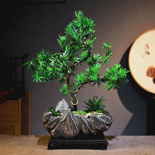 【精选鲜活迎客罗汉松盆景新中式室内好养桌面摆件绿植花卉盆栽】