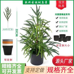 饰 仿真圣诞诺福克松树绿植盆栽桌面摆件人造圣诞树客厅家居装