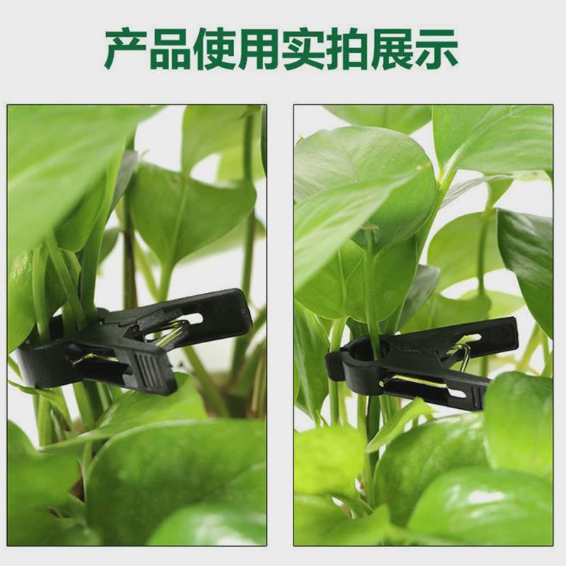 吊蔓夹番茄夹黄瓜夹子丝瓜大棚夹子夹卡扣落蔓西红柿吊秧器园艺夹