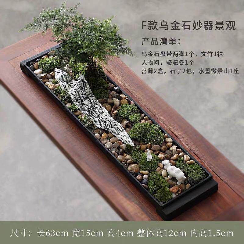 文竹菖蒲盆景水培微景观苔藓绿植乌金石办公室桌面禅意摆件吸水石