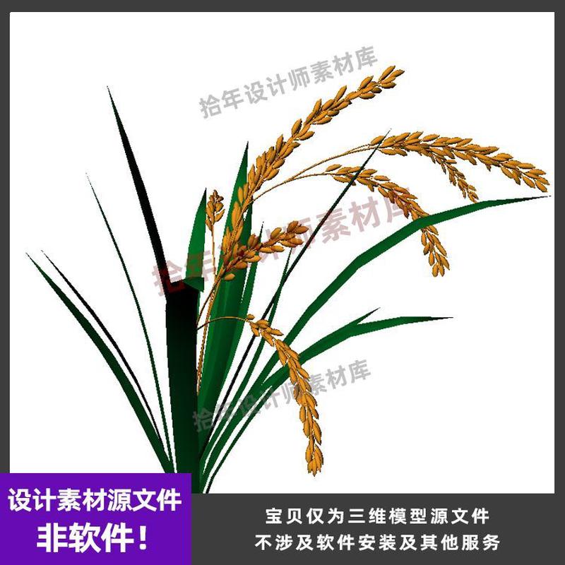 水稻 稻谷 植物 稻苗 农作物 犀牛/rhino/C4D/3Dmax/maya模型obj