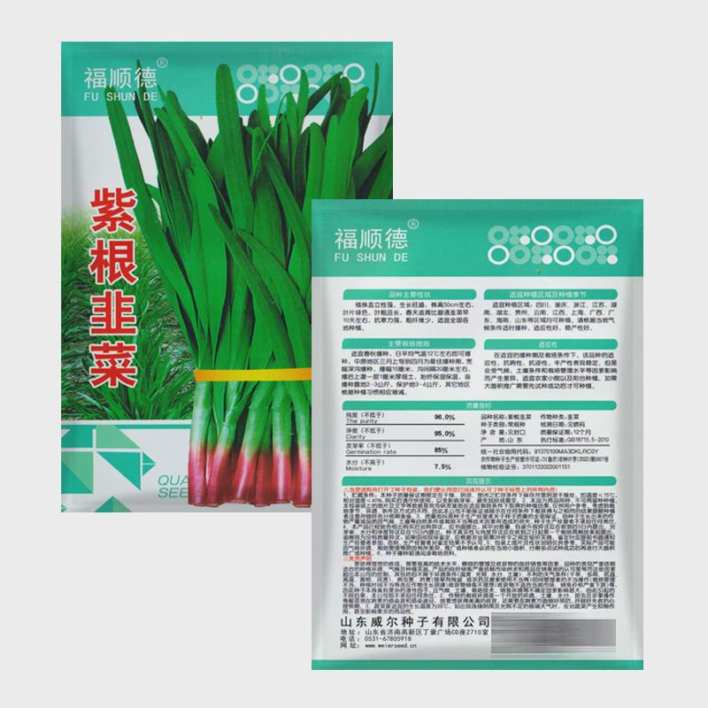 辛辣味浓紫根紫种籽韭菜根早春红250g冬温室大棚春早播耐寒韭菜