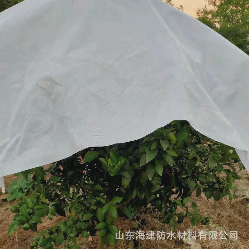 柑橘防寒布果树霜温布园艺防保果园茶树防冻布沃柑防霜防寒无纺布