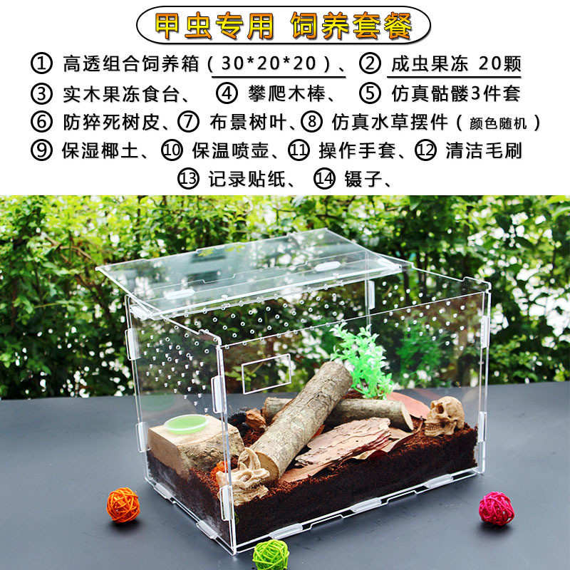 爬宠箱饲养盒亚克力透明塑料大号养蚕甲虫蜘蛛独角仙守宫饲养箱