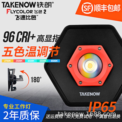 TAKENOW铁朗WL4118汽美漆面捕纹灯修工作灯多色温车灯汽调漆灯