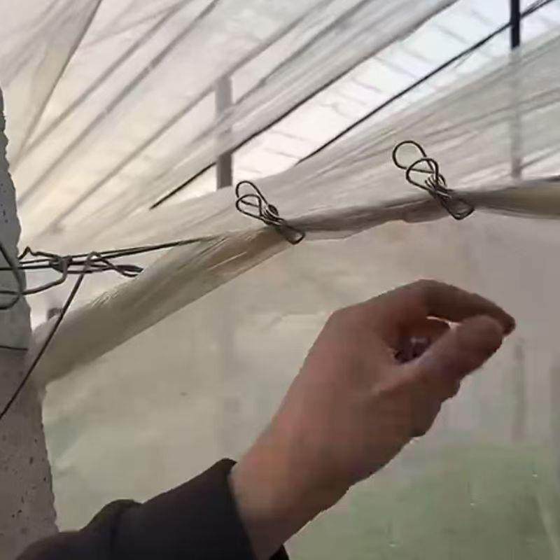 不锈钢二膜夹子大棚不绣钢温室大棚内二模塑料薄固定朋鹏农用专线,农机/农具/农膜,绑枝机/绑蔓机,淘宝优惠券,粉丝福利购,淘宝优惠卷