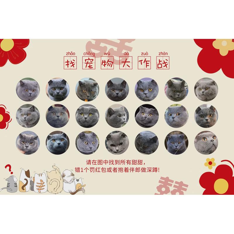 接亲堵门游戏找宠物kt板婚礼小道具找氛围猫咪文明创意狗狗小游戏