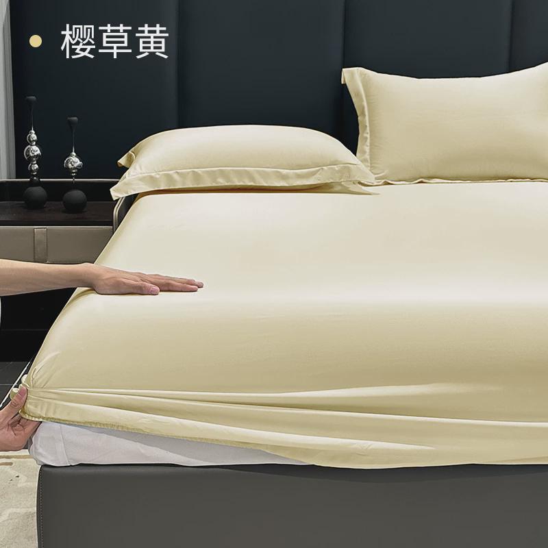 19ek加高款印花天丝床罩冰丝保席梦思床垫套床笠单件护罩全包夏季