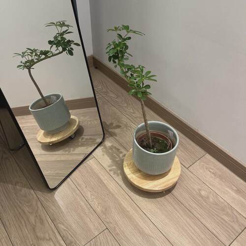 实木制花盆移动托盘底座加厚万向轮带刹车静音圆形鱼缸承重花托架