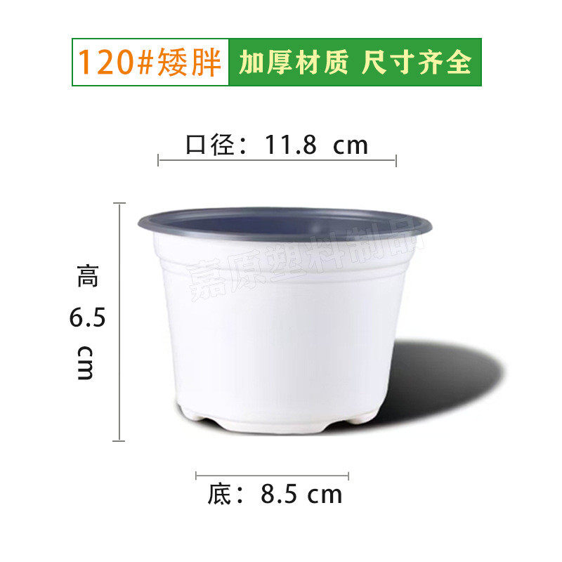 彩色双色育苗花盆加厚一次性塑料育苗盆简易花盆绿植多肉育苗盆栽,鲜花速递/花卉仿真/绿植园艺,花盆,淘宝优惠券,粉丝福利购,淘宝优惠卷