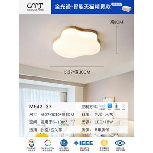 客厅主灯原木风中山灯具奶油风吸顶灯现代简约大气新款led云朵灯