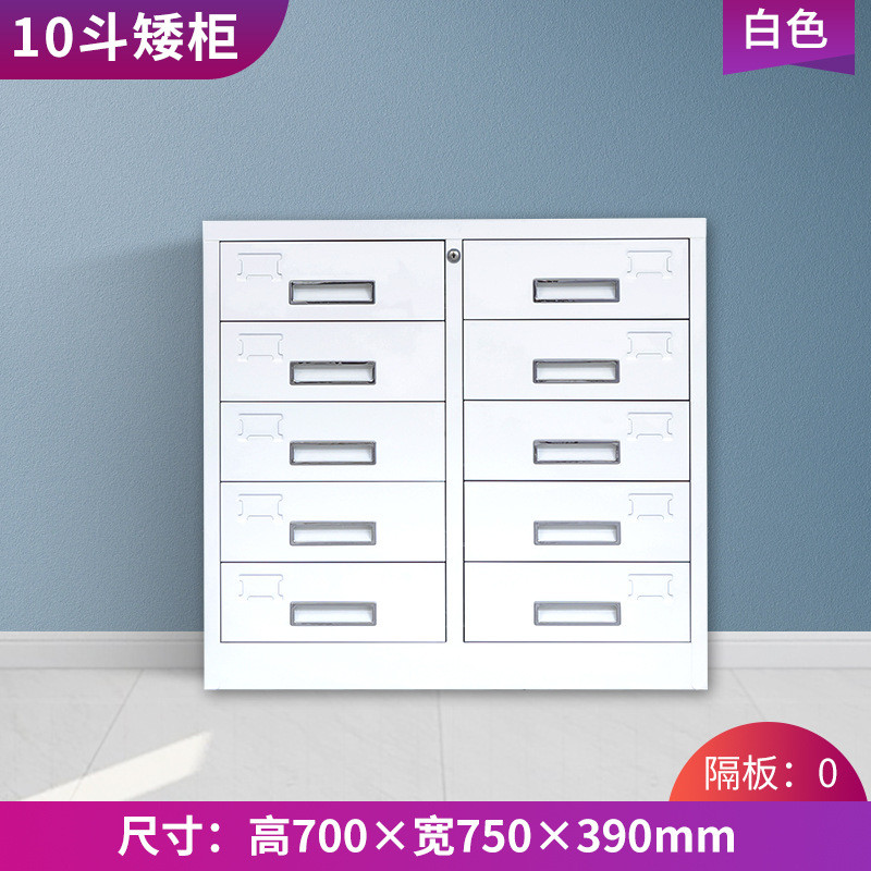 文件柜铁皮柜资料矮柜多层抽屉档案柜工具储物柜办公室收纳目录柜