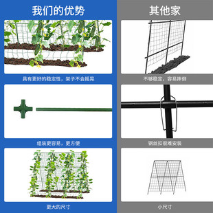 爬藤架花架葡萄豆角黄瓜园艺包塑钢管植物种菜搭架架子支撑杆窗台
