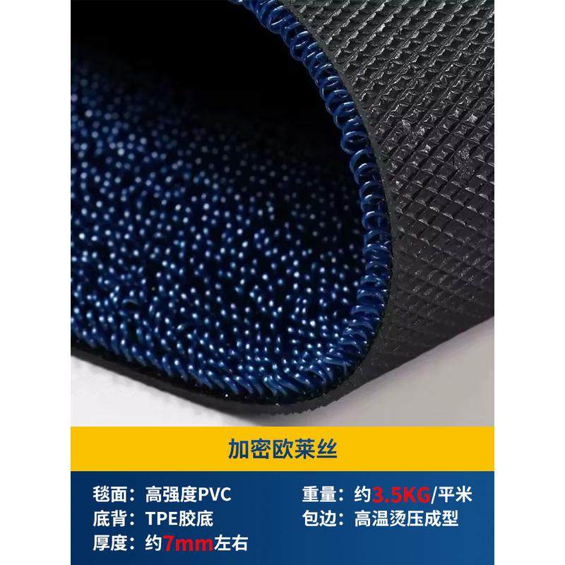 商用地毯logo酒店公司门口地垫图案饭店迎宾防滑垫子尺寸现代简约