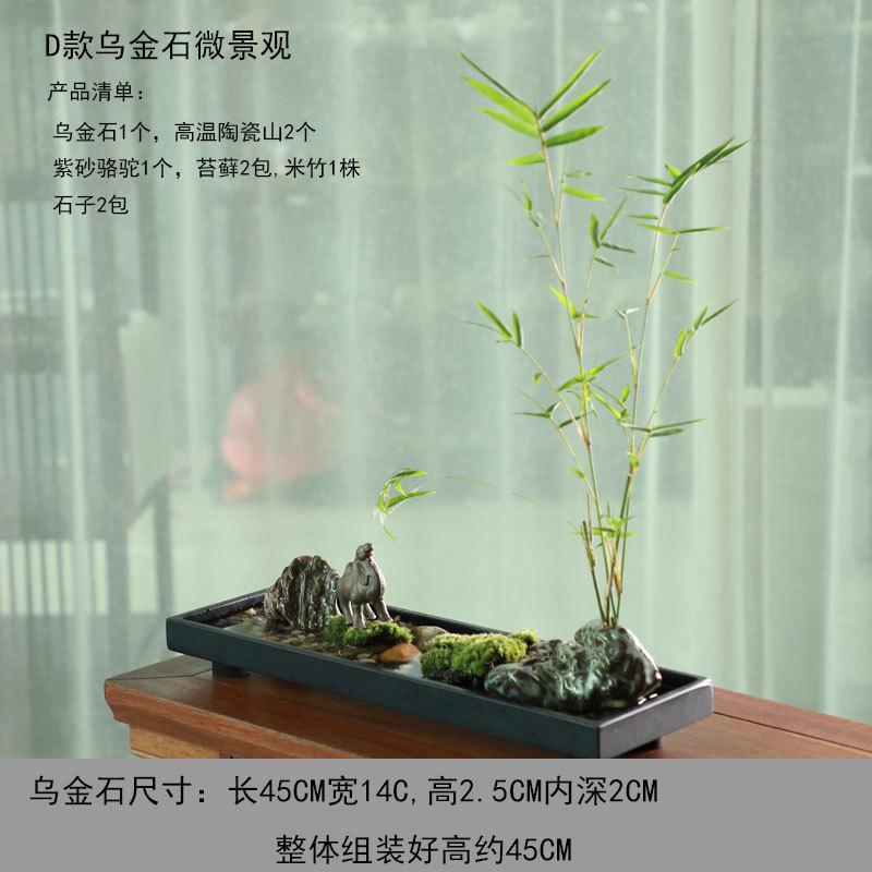 文竹苔藓水培微景观菖蒲盆景绿植乌金石办公室桌面禅意摆件吸水石