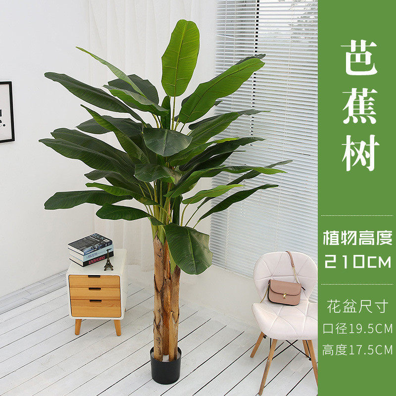 仿真植物芭蕉树室内摆件大型盆栽香蕉树软装造景假落地绿植景观树