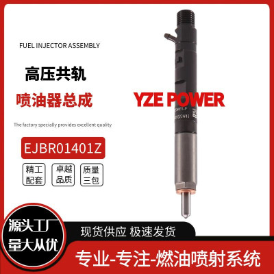 EJBR01401Z共轨柴油喷油器166003978R适用于NISSANMIC