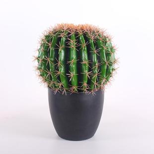 饰量天尺 热带植物造景PU杆仙人柱盆栽大型仿真仙人掌沙漠植物装