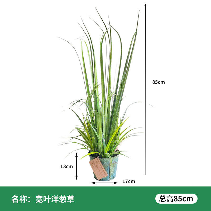 洋葱草盆栽假盆景家居装饰品仿真植物小草复古仿真花