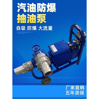 准王电动大流量抽油泵12v24v220v防爆柴油汽油防爆加油卸油导油泵