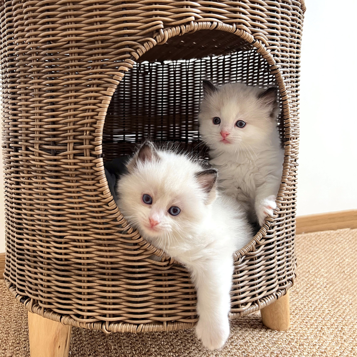 热销藤编猫窝猫床封闭式猫屋猫爬架别墅可拆洗猫笼狗窝冬季猫房子