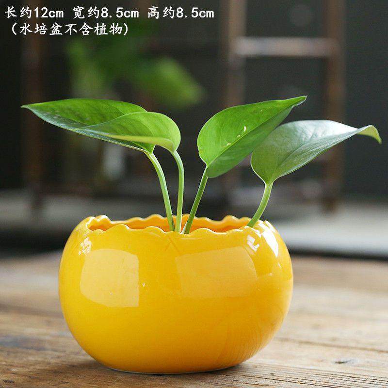 轻奢高级感绿植花盆无孔桌面专用陶瓷花盆水养水培大号水培花盆,鲜花速递/花卉仿真/绿植园艺,花盆,淘宝优惠券,粉丝福利购,淘宝优惠卷